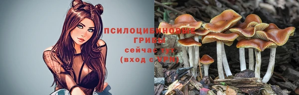 ешки Инта
