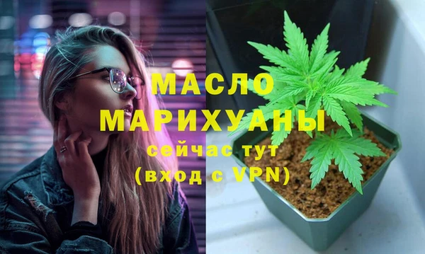 ешки Инта