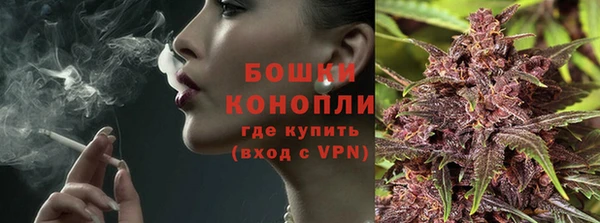 ешки Инта